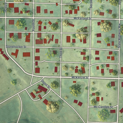 Close-up of the map of Barnard, Missouri print showing street and building detail
