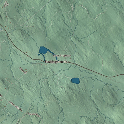 Close-up of the map of Brighton, Vermont print showing streets and neighborhoods