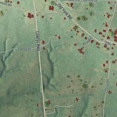 Close-up of the map of Lowrys, South Carolina print showing street and building detail