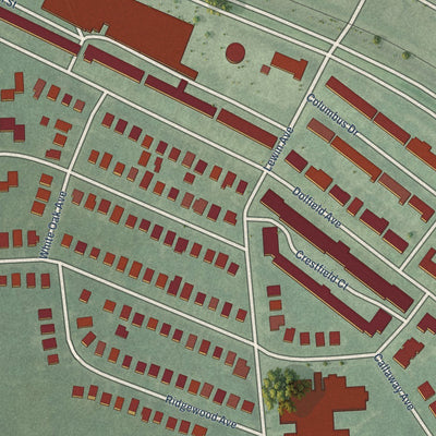 Close-up of the map of Dolfield, Maryland print showing street and building detail