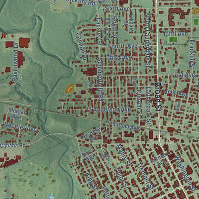 Close-up of the map of Selma, Alabama print showing street and building detail