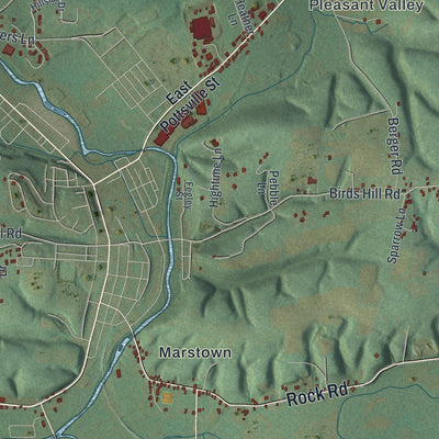 Close-up of the map of Pine Grove, Schuylkill County, Pennsylvania print showing street and building detail
