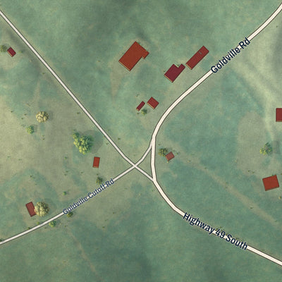 Close-up of the map of Goldville, Alabama print showing street and building detail