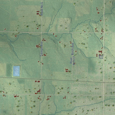 Close-up of the map of the Town of Thorp, Wisconsin print showing street and building detail