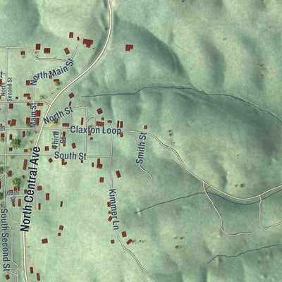 Close-up of the map of Cushman, Arkansas print showing street and building detail