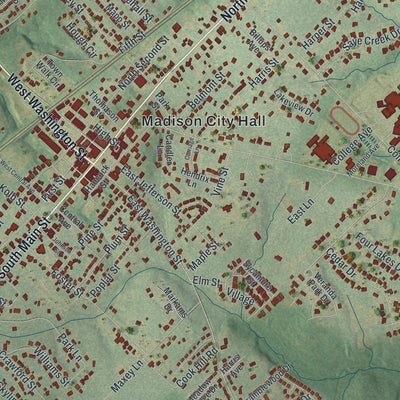 Close-up of the map of Madison, Georgia print showing street and building detail