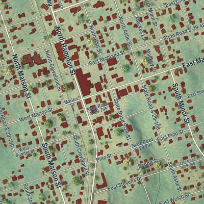 Close-up of the map of Kershaw, South Carolina print showing street and building detail