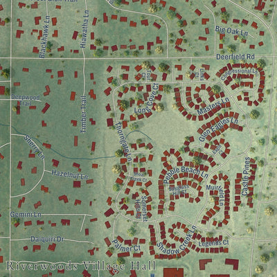Close-up of the map of Riverwoods, Illinois print showing street and building detail