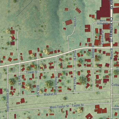 Close-up of the map of Mulberry Grove, Illinois print showing street and building detail