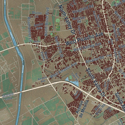 Close-up of the map of Las Cruces, New Mexico print showing street and building detail
