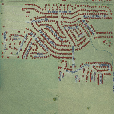 Close-up of the map of Davis Junction, Illinois print showing street and building detail