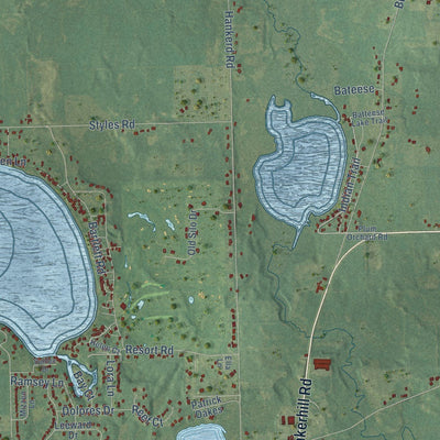 Close-up of the map of Henrietta, Michigan print showing street and building detail