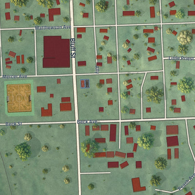 Close-up of the map of Winnebago, Nebraska print showing street and building detail