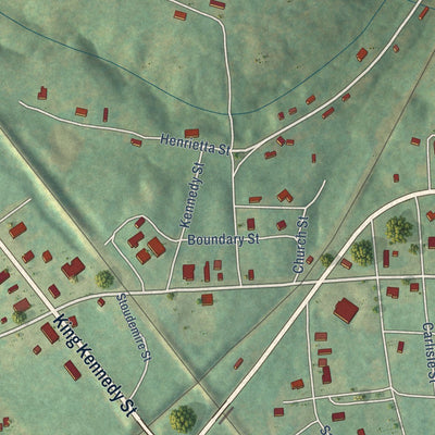 Close-up of the map of Carlisle, South Carolina print showing street and building detail