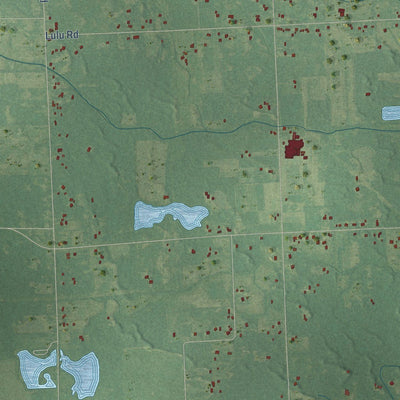 Close-up of the map of Ida, Michigan print showing street and building detail