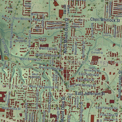 Close-up of the map of Siloam Springs, Arkansas print showing street and building detail