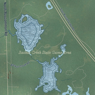 Close-up of the map of Higgins, Michigan print showing street and building detail