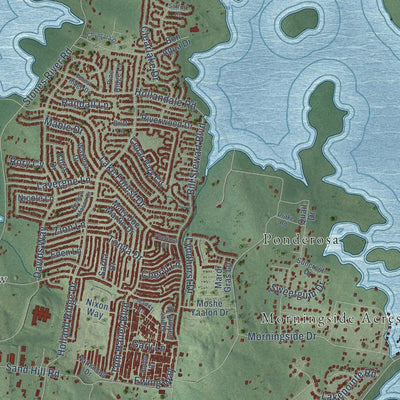 Close-up of the map of La Vergne, Tennessee print showing street and building detail