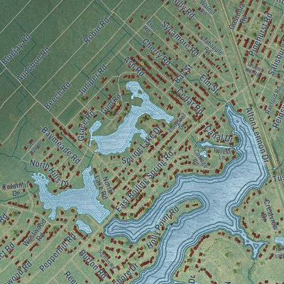 Close-up of the map of Boiling Spring Lakes, North Carolina print showing street and building detail