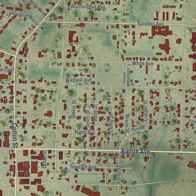 Close-up of the map of Graceville, Florida print showing street and building detail