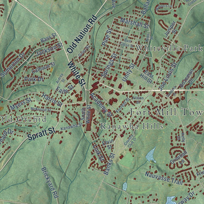 Close-up of the map of Fort Mill, South Carolina print showing street and building detail