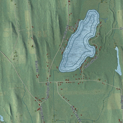 Close-up of the map of Conquest, New York print showing street and building detail