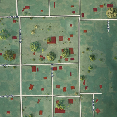 Close-up of the map of Virgil, Kansas print showing street and building detail