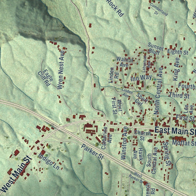 Close-up of the map of Monteagle, Tennessee print showing street and building detail