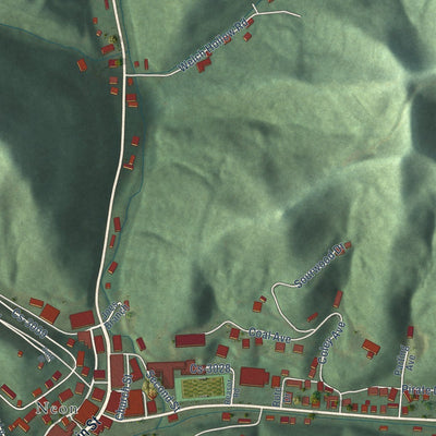 Close-up of the map of Fleming-Neon, Kentucky print showing street and building detail