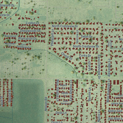 Close-up of the map of Prien, Louisiana print showing street and building detail
