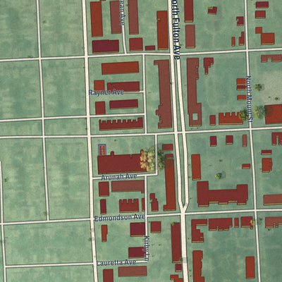Close-up of the map of Harlem Park, Maryland print showing street and building detail