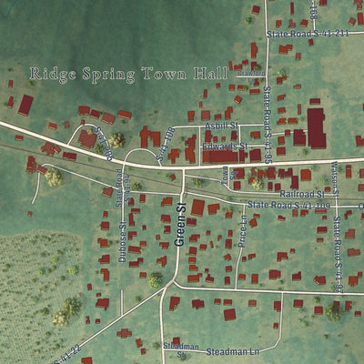 Close-up of the map of Ridge Spring, South Carolina print showing street and building detail