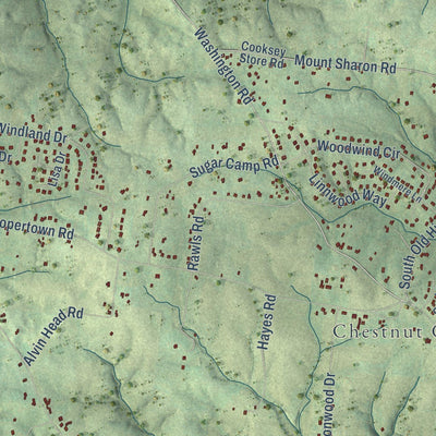 Close-up of the map of Coopertown, Tennessee print showing street and building detail