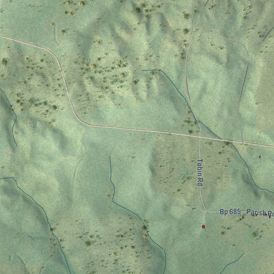 Close-up of the map of Lucky, Louisiana print showing street and building detail