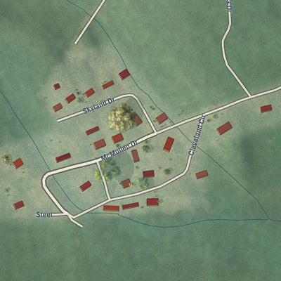 Close-up of the map of McMullen, Alabama print showing street and building detail