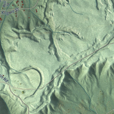 Close-up of the map of Altoona, Alabama print showing street and building detail