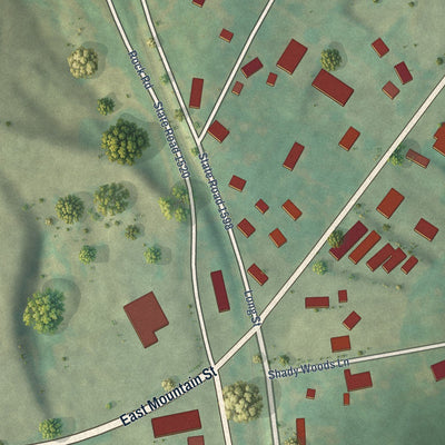 Close-up of the map of Ruth, North Carolina print showing street and building detail