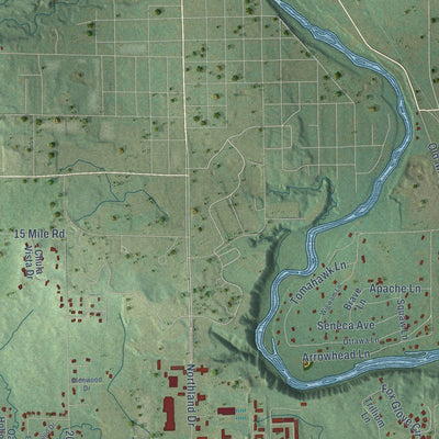Close-up of the map of Big Rapids, Mecosta County, Michigan print showing street and building detail