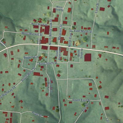 Close-up of the map of Decaturville, Tennessee print showing street and building detail