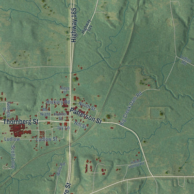 Close-up of the map of Pollock, Louisiana print showing street and building detail
