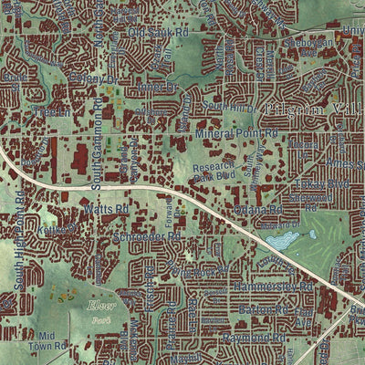 Close-up of the map of Madison, Wisconsin print showing street and building detail