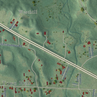 Close-up of the map of Coker, Alabama print showing street and building detail