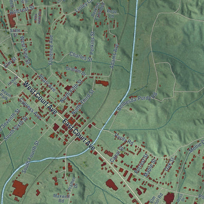 Close-up of the map of Selmer, Tennessee print showing street and building detail