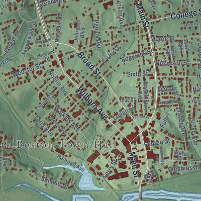 Close-up of the map of South Boston, Virginia print showing street and building detail