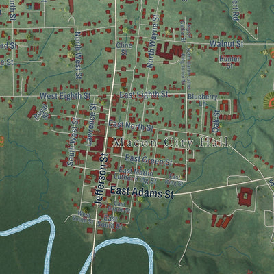 Close-up of the map of Macon, Mississippi print showing street and building detail