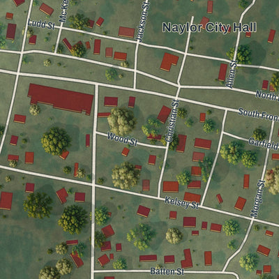Close-up of the map of Naylor, Missouri print showing street and building detail