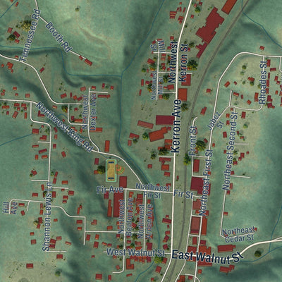 Close-up of the map of Winlock, Washington print showing street and building detail