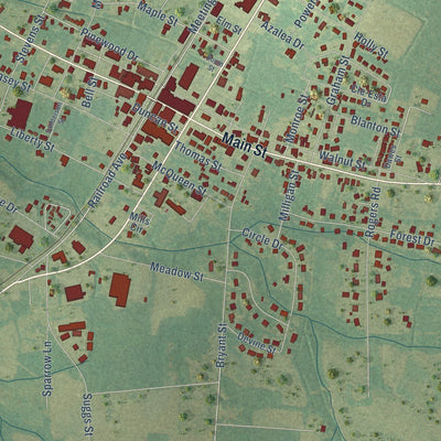 Close-up of the map of Loris, South Carolina print showing street and building detail