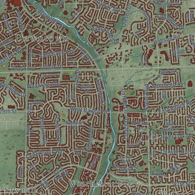 Close-up of the map of Naperville, Illinois print showing street and building detail