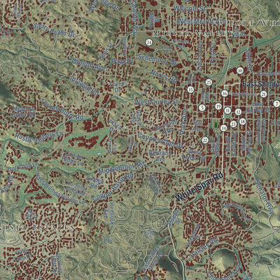 Close-up of the map of Prescott, Arizona print showing street and building detail